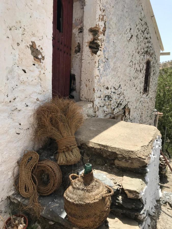 Casa Amigos Sorvilan- La Palmera Екстериор снимка