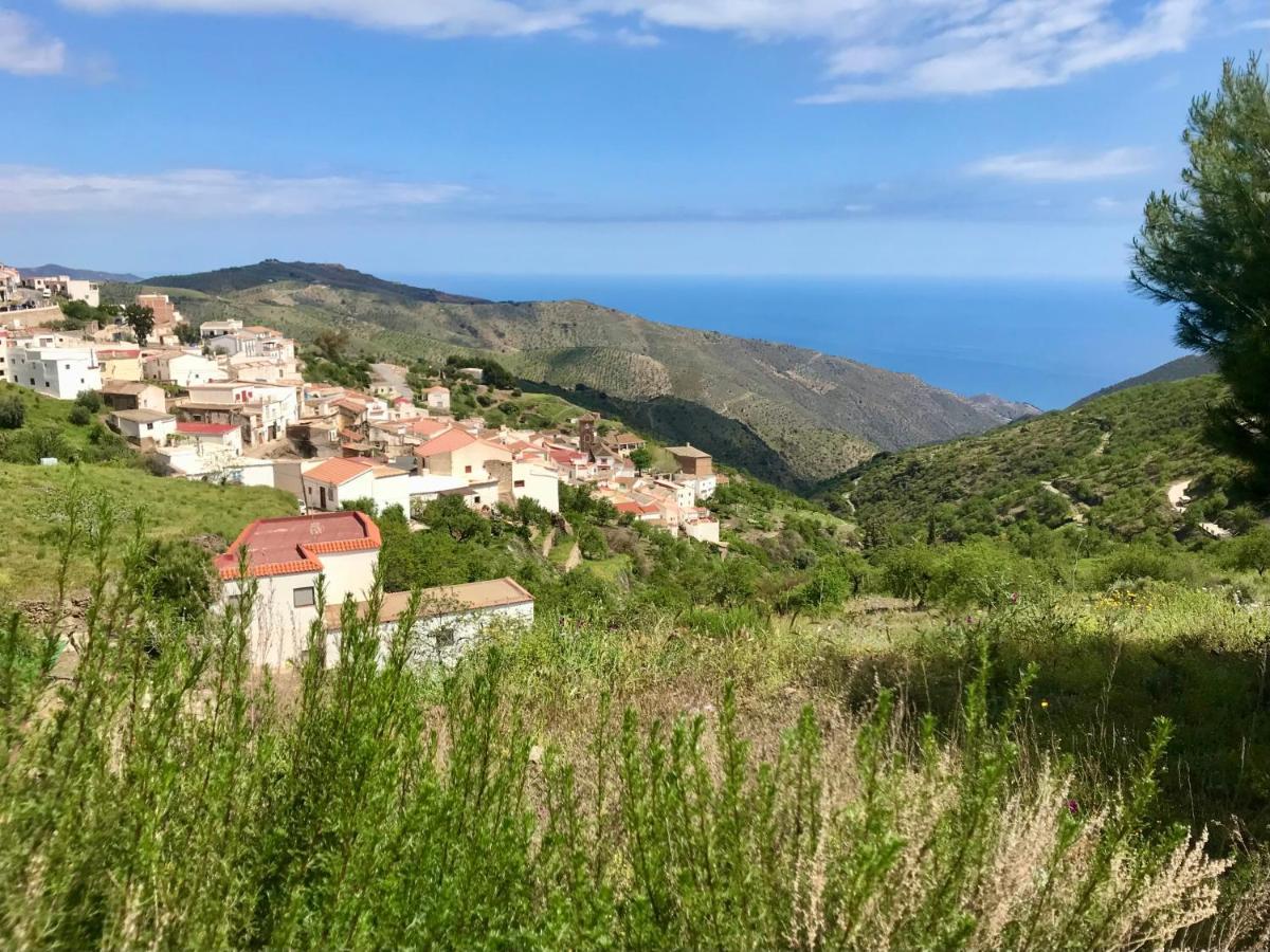 Casa Amigos Sorvilan- La Palmera Екстериор снимка