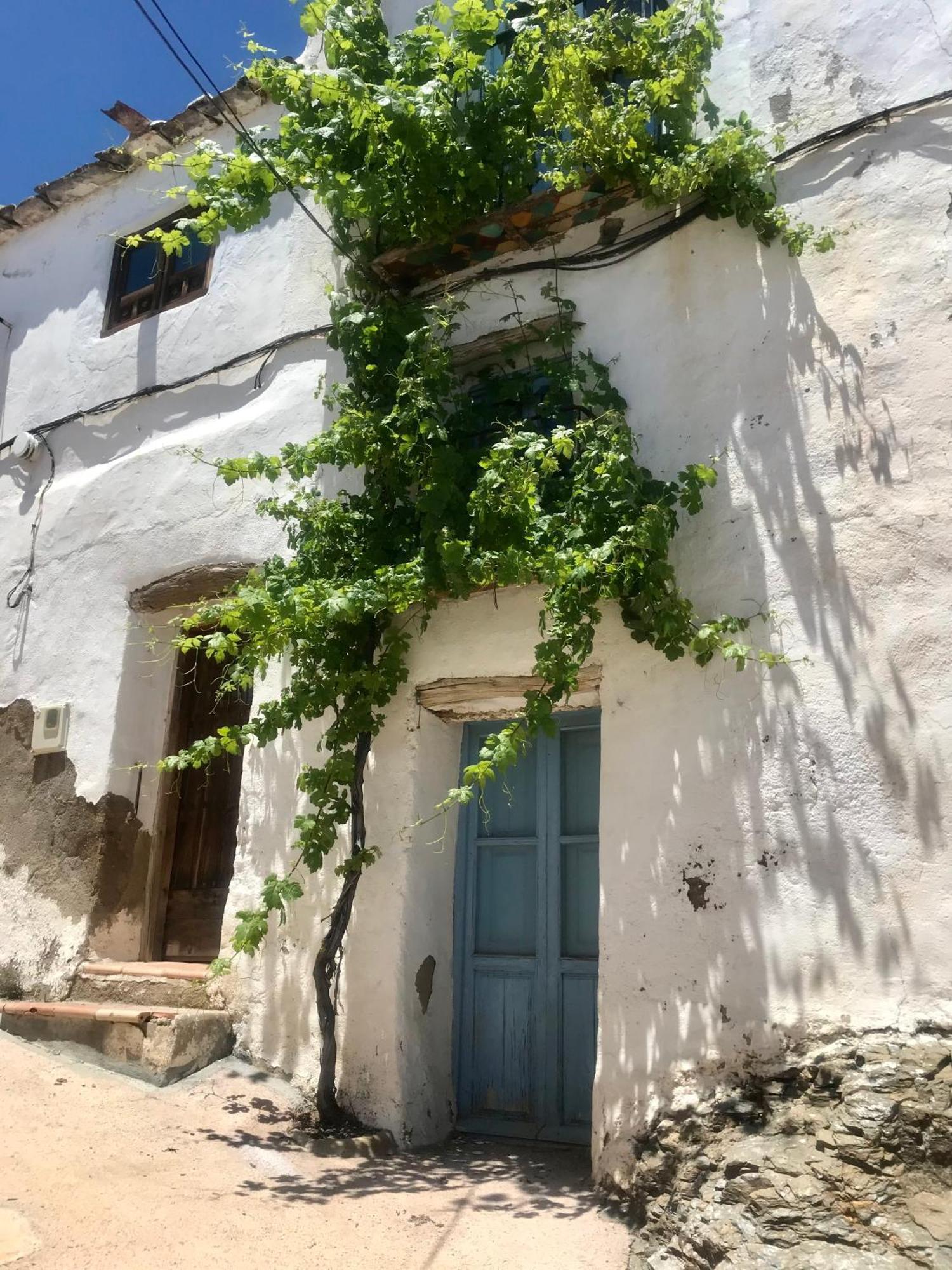 Casa Amigos Sorvilan- La Palmera Екстериор снимка